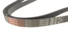 Ремінь генератора VW Passat B5/Audi A4/A6 1.9TDI 98- GATES Gates 5PK1435 (фото 3)