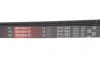 Ремінь генератора BMW 3 (E36) 318tds 95-00/Chevrolet Niva 1.7 4x4 02- GATES Gates 5PK1885 (фото 4)