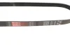 Ремінь генератора BMW 3 (E46)/5 (E39) 1.8D/2.0D 98-03 GATES Gates 5PK838 (фото 2)