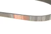 Ремень генератора BMW 3 (E46)/5 (E39)/7 (E38) 95-05 M52/M54 GATES Gates 5PK865 (фото 5)
