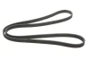 Ремінь генератора Volvo C70/S40/S80/S70/V70/XC70/XC90 1.6-3.0 95-14 GATES Gates 6DPK1838 (фото 5)