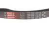 Ремінь генератора MB OM601/602 (-PS) GATES Gates 6PK1000 (фото 4)