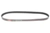 Ремінь генератора VW Caddy 1.9D/SDI -03 (WP,TP) GATES Gates 6PK1038 (фото 1)