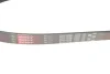 Ремінь генератора VW Caddy 1.9D/SDI -03 (WP,TP) GATES Gates 6PK1038 (фото 4)