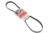 Ремінь генератора Citroen Jumper 1.9TD 94-02 (ALT,PS) GATES Gates 6PK1130 (фото 1)