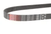 Ремінь генератора Citroen Jumper 1.9TD 94-02 (ALT,PS) GATES Gates 6PK1130 (фото 2)