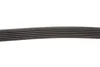 Ремінь генератора Citroen Jumper 1.9TD 94-02 (ALT,PS) GATES Gates 6PK1130 (фото 3)