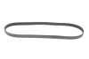 Ремінь генератора Citroen Jumper 1.9TD 94-02 (ALT,PS) GATES Gates 6PK1130 (фото 4)