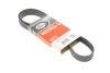 Ремінь генератора Citroen C4/Jumper/Dacia Duster/Peugeot 307/Boxer 1.5D-2.0D 94- GATES Gates 6PK1157 (фото 1)