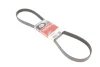 Ремінь генератора Citroen Jumper/Fiat Ducato/Peugeot Boxer 2.0/2.2HDi/JTD 02- GATES Gates 6PK1183 (фото 1)