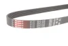 Ремінь генератора Ford Scorpio/Sierra 2.0i 85-94 GATES Gates 6PK1228 (фото 2)