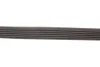 Ремінь генератора Ford Scorpio/Sierra 2.0i 85-94 GATES Gates 6PK1228 (фото 3)