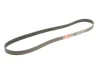 Ремінь генератора Ford Focus II/C-Max/Volvo C30/S40 II/V50 1.8/2.0 04-12 GATES Gates 6PK1249SF (фото 2)