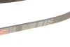 Ремінь генератора Ford Focus II/C-Max/Volvo C30/S40 II/V50 1.8/2.0 04-12 GATES Gates 6PK1249SF (фото 4)