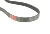 Ремінь генератора Ford Focus/Mazda 3/5/Volvo S40/V50/C30 1.8-2.4 03- GATES Gates 6PK1305 (фото 2)