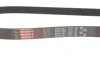 Ремінь генератора Peugeot Bipper 1.4HDI GATES Gates 6PK1353 (фото 4)