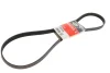 Ремінь генератора Citroen Berlingo/Peugeot Partner 1.6HDI (-AC) ch.10571- GATES Gates 6PK1368 (фото 1)