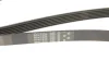 Ремінь генератора Ford Focus/C-Max 1.8 TDCi 05-12/Skoda Octavia 1.4 i 99-01 GATES Gates 6PK1520 (фото 5)