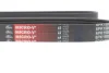 Ремінь генератора Opel Meriva A 1.7CDTi 03-10 GATES Gates 6PK1595 (фото 5)