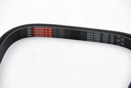 Ремінь генератора Fiat Scudo/Citroen Berlingo/VW Golf GATES Gates 6PK1660