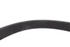 Ремінь генератора VW T4 2.5TDI GATES Gates 6PK1693 (фото 3)