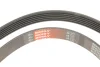 Ремінь генератора Skoda Rapid 1.6 12-/ Toyota Avensis 1.4-1.6 03-08 GATES Gates 6PK1730 (фото 5)