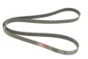 Ремінь генератора BMW 3 (E90-E93)/X1 (E84) 3.2D 07-11 N47 D20 GATES Gates 6PK1780 (фото 4)