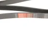 Ремінь генератора Renault Trafic 1.9dCi 01-/Opel Vivaro A 1.9DTI 01-14 GATES Gates 6PK1830XS (фото 5)