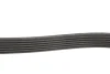 Ремінь генератора Jeep Wrangler 4.0 i 96-07/Subaru Forester 2.0 13- GATES Gates 6PK1910 (фото 3)