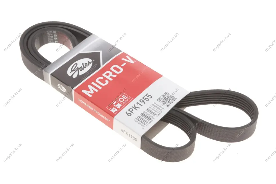 Ремінь генератора Ford Transit 2.3 16V 00-06 (RWD) GATES Gates 6PK1955 (фото 1)