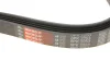Ремінь генератора MB C-class (W202)/E-class (W211) 2.2CDI/2.7CDI 98-09 GATES Gates 6PK2253 (фото 5)