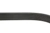 Ремінь генератора MB W202/210 M112/113 97- (WP,PS) GATES Gates 6PK2315 (фото 3)
