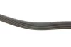 Ремінь генератора MB E-class (W124/W211)/M-class (W164) 03-12 M104 GATES Gates 6PK2358 (фото 3)
