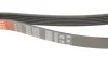 Ремінь генератора MB E-class (W124/W211)/M-class (W164) 03-12 M104 GATES Gates 6PK2358 (фото 4)