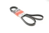 Ремінь генератора Jeep Grand Cherokee II 2.7 CRD 01-05 GATES Gates 6PK2603 (фото 1)