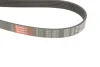 Ремінь генератора Jeep Grand Cherokee II 2.7 CRD 01-05 GATES Gates 6PK2603 (фото 4)