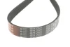 Ремінь генератора Mitsubishi Lancer 08-/Outlander 1.8-2.4 06-12 GATES Gates 6PK2625 (фото 2)