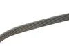 Ремінь генератора Audi A3/Q3/VW Caddy IV/Golf VII 1.0-1.2TSI/1.4TSI 15- GATES Gates 6PK745 (фото 3)