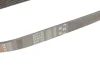 Ремінь генератора Audi A3/Q3/VW Caddy IV/Golf VII 1.0-1.2TSI/1.4TSI 15- GATES Gates 6PK745 (фото 5)