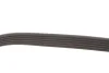 Ремінь генератора Chevrolet Aveo 1.4 06-07 GATES Gates 6PK883 (фото 4)