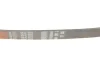 Ремінь генератора Fiat Scudo/Peugeot Expert 1.6 96-06 GATES Gates 6PK893 (фото 4)