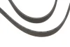 Ремінь генератора BMW X5 (E70)/X6 (E71/E72) 09-14 GATES Gates 7DPK1880 (фото 2)