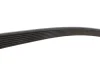 Ремінь генератора BMW 3 (E90)/Opel Movano 2.0i/2.5DTI 03- GATES Gates 7PK1103 (фото 3)