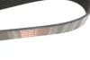 Ремінь генератора Renault Megane II 2.0 dCi 05-09 GATES Gates 7PK1705 (фото 3)