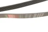 Ремінь генератора BMW 7 (E65/E66/E67) M67 4.0/4.5D 02-08/Honda Accord 2.0 03-08 GATES Gates 7PK1760 (фото 3)