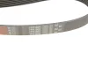 Ремінь генератора Ford Scorpio II/Toyota Camry 2.4i/3.5i 94- GATES Gates 7PK1905 (фото 4)