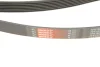 Ремінь генератора Ford Scorpio II/Toyota Camry 2.4i/3.5i 94- GATES Gates 7PK1905 (фото 5)