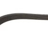 Ремінь генератора Toyota Camry/Avensis/RAV4 2.0/2.4 00-/Land Cruiser Prado 3.0D 00- GATES Gates 7PK1933 (фото 4)