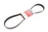 Ремінь генератора Mazda 3/5/6 2.0 DI/CD 02-10 GATES Gates 8PK1225 (фото 1)