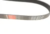 Ремінь генератора Mazda 3/5/6 2.0 DI/CD 02-10 GATES Gates 8PK1225 (фото 2)
